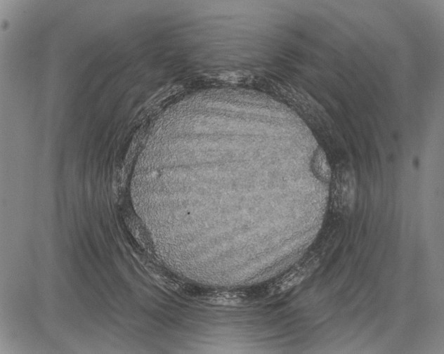 X0000083630656200703051636