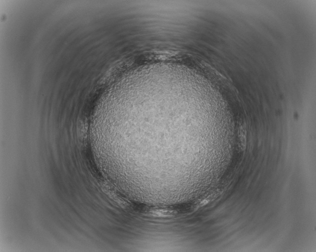 X0000083630657200703051636