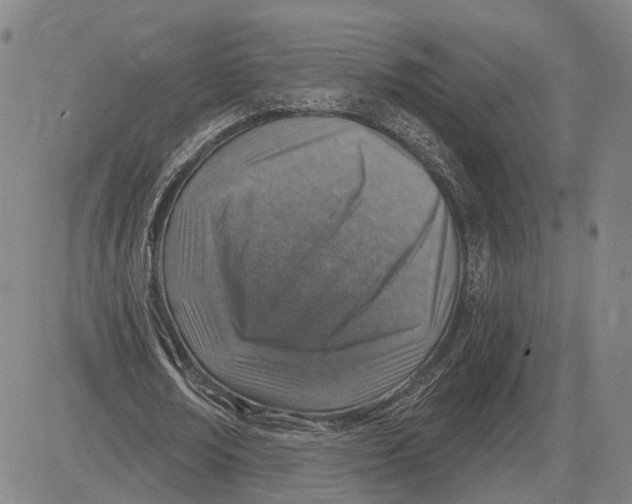 X0000083630674200703051636