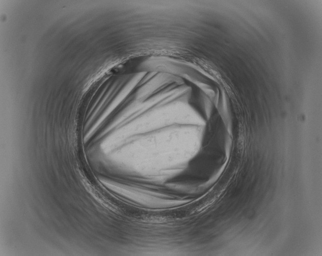 X0000083630677200703051636