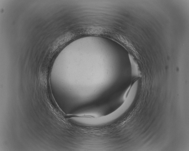 X0000083630681200703051635
