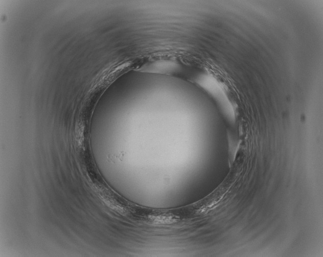 X0000083630693200703051635
