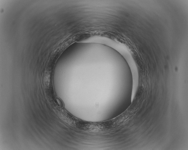 X0000083630697200703051635