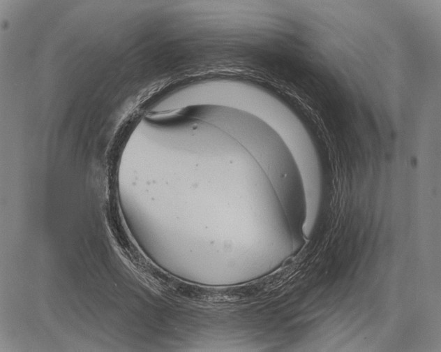 X0000083630734200703051634