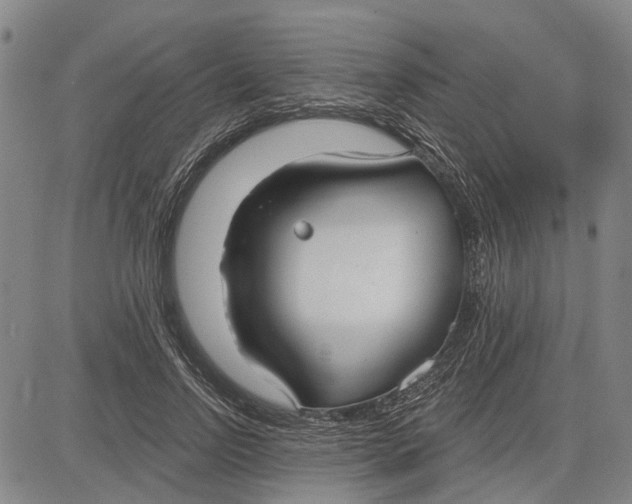X0000083630742200703051634
