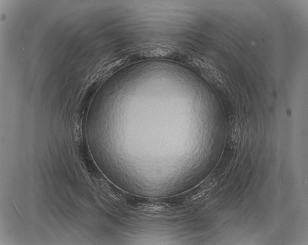 X0000083630743200703051634