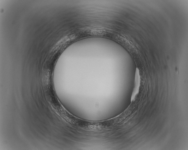 X0000083630744200703051634
