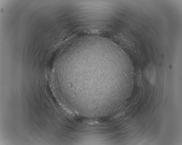 X0000083630747200703051634