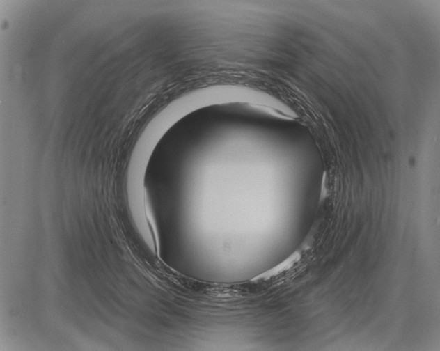 X0000083630750200703051634