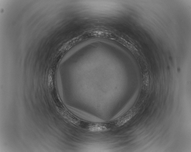 X0000083630754200703051635