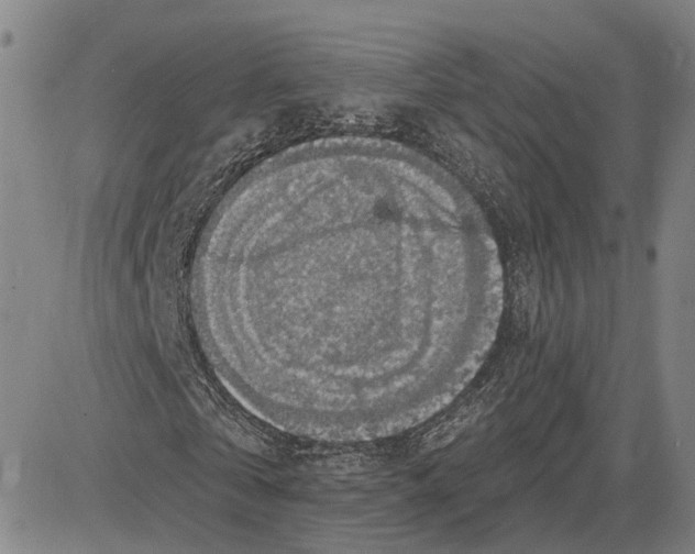 X0000083630769200703051634