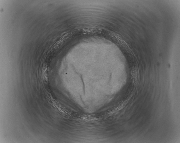 X0000083630770200703051634