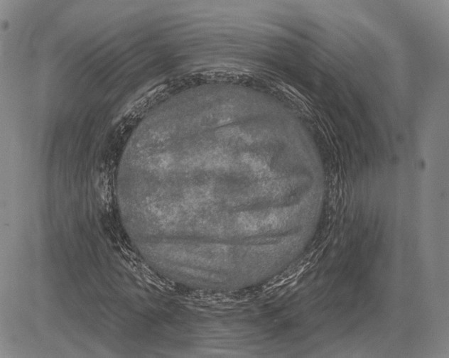 X0000083630774200703051634