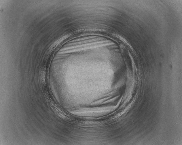 X0000083630777200703051634