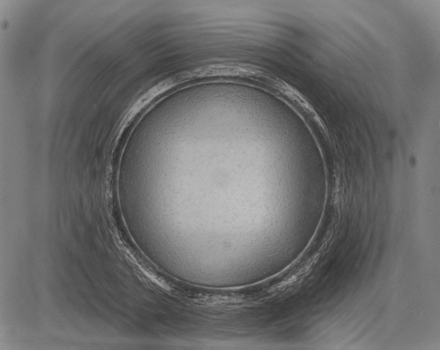 X0000083630786200703051634