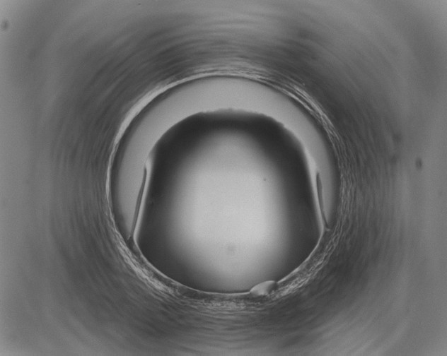 X0000083630788200703051634