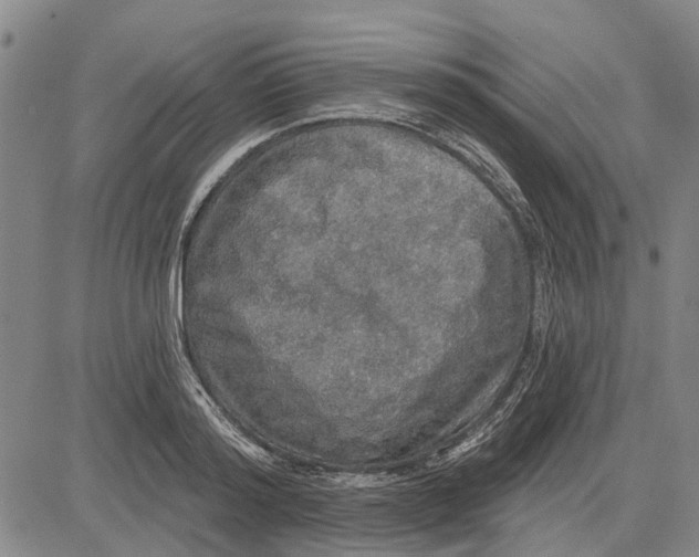 X0000083630796200703051634