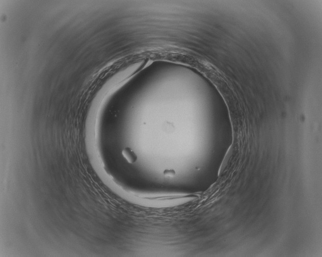 X0000083630822200703051632