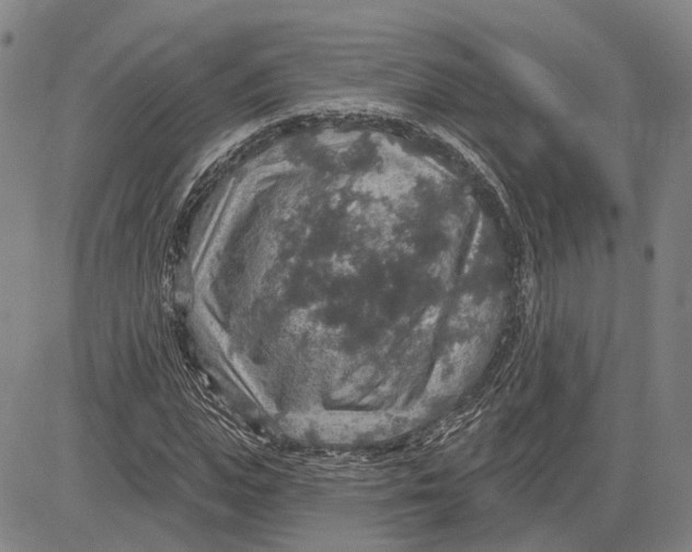 X0000083630823200703051632