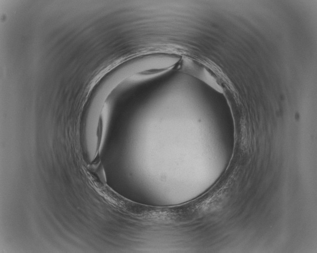 X0000083630834200703051633