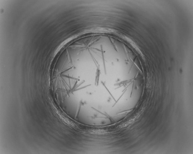 X0000083630837200703051633