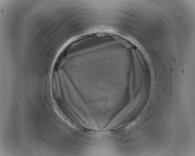 X0000083630864200703051633