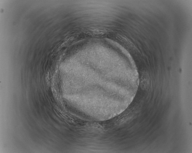 X0000083630866200703051632