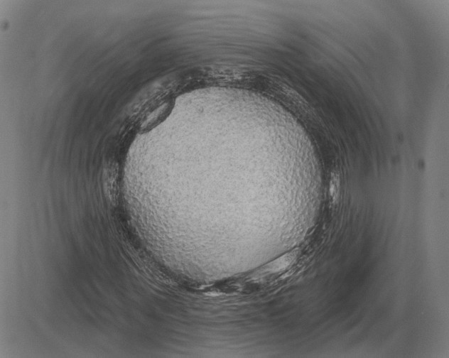 X0000083630867200703051632