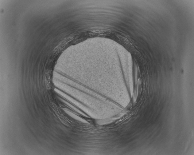 X0000083630868200703051632