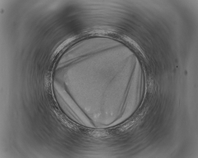 X0000083630874200703051632
