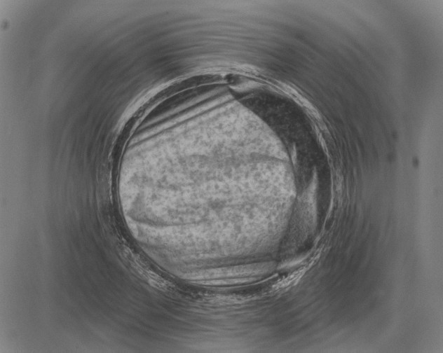 X0000083630877200703051632