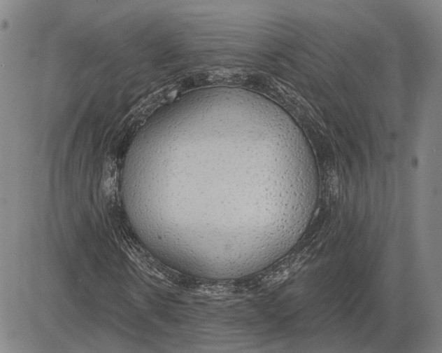 X0000083630914200703051631