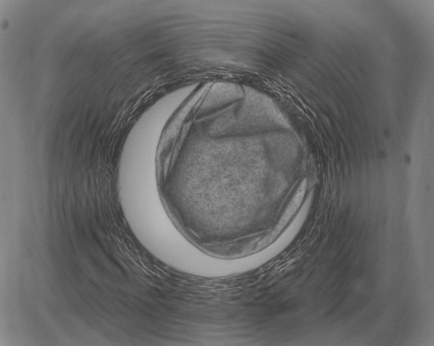 X0000083630916200703051631