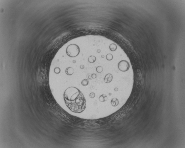 X0000083630918200703051631