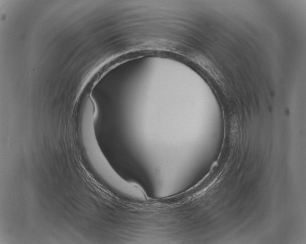 X0000083630926200703051631