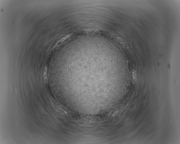 X0000083630963200703051631