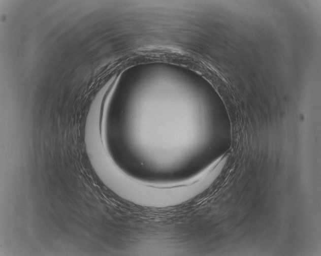 X0000083630965200703051631