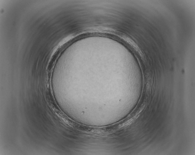 X0000083630974200703051630