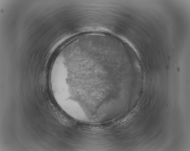 X0000083630975200703051630