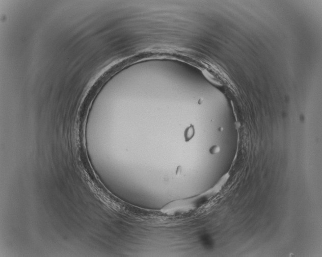 X0000083630976200703051630