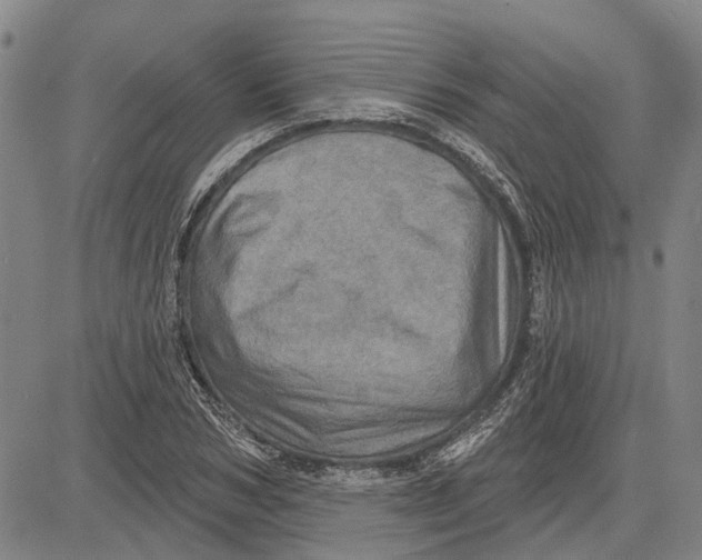 X0000083630978200703051630