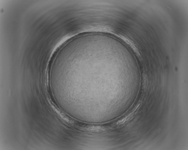 X0000083630982200703051630