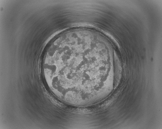 X0000083630983200703051630