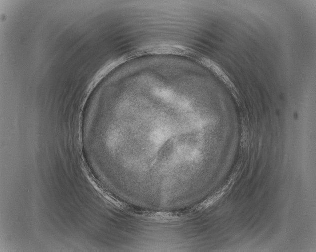 X0000083630986200703051630