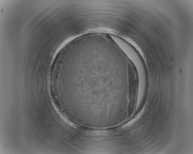 X0000083630989200703051630