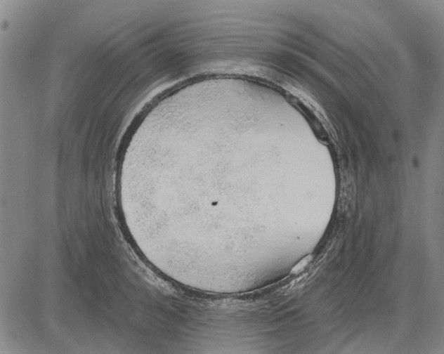 X0000083630992200703051630