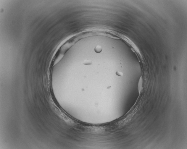 X0000083630996200703051630