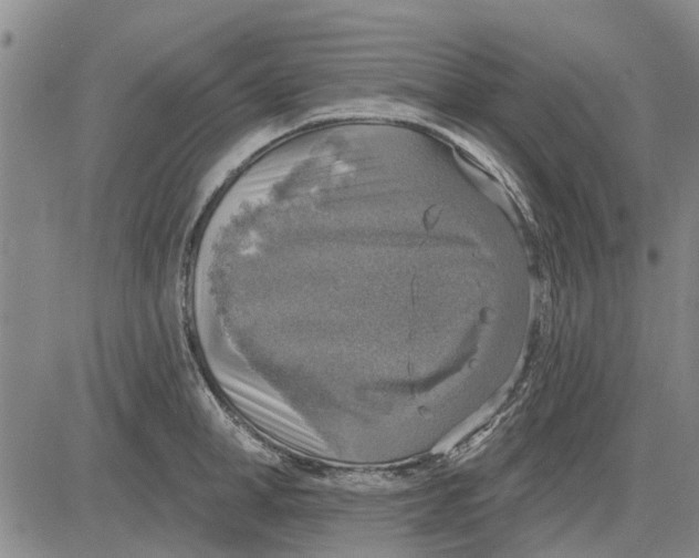 X0000083630998200703051630