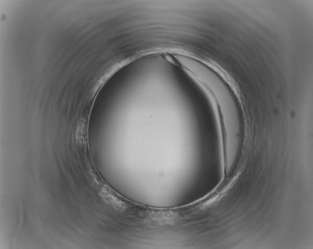 X0000083631001200703051630