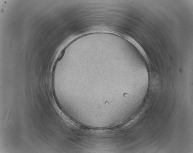 X0000083631004200703051630